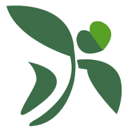 Fonds Soziales Wien logo