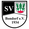 Geschaeftsstelle SV Team Bodemer logo