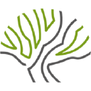 Platane 19 gGmbH logo