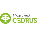 Cedrus GmbH logo