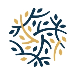 Praxis Dr. J. Moritz Riepen logo