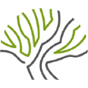 Platane 19 gGmbH logo