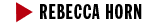 Rebecca Horn logo