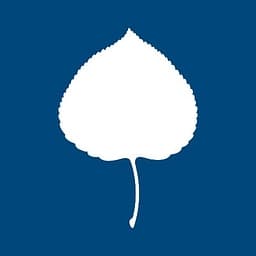 Aspen Institute Deutschland logo