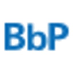 Bundesverband behinderter Pflegekinder e.V. logo