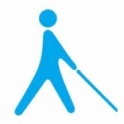 Blinden- und Sehbehindertenverband Thüringen e. V. (BSVT) logo