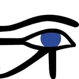 Deutscher Verein der Blinden und Sehbehinderten in Studium und Beruf e.V. logo