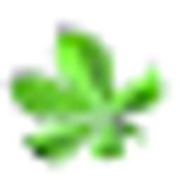 Eva Berger Der Kastanienhof logo