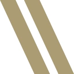 Weizenbaum-Institut e. V. logo