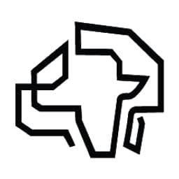 Africa Policy Research Institute logo