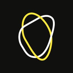 alv foundation logo