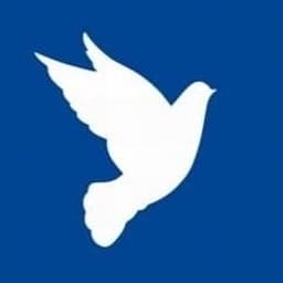 Cinema for Peace Foundation logo