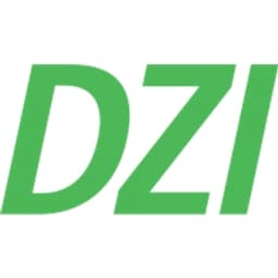 Deutsches Zentralinstitut für soziale Fragen logo