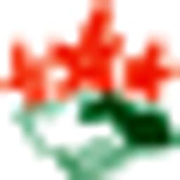Die NaturFreunde Land Brandenburg e.V. logo