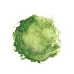 Naturwald Akademie gGmbH logo