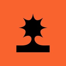 NEW STANDARD.S logo