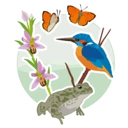 Ökostation BornaBirkenhain logo