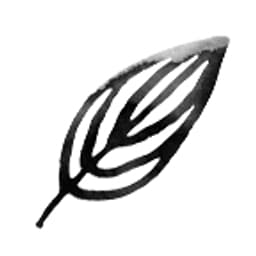 Natumi GmbH logo