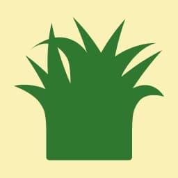 ruumi logo