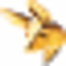 TRIBUTE TO BAMBI Stiftung logo
