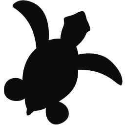 TURTLE FOUNDATION logo