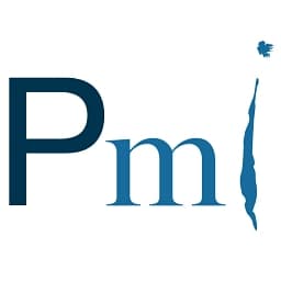 PULSAR Medical AG logo