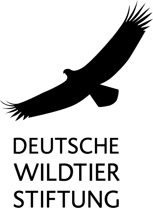 Solijugend logo