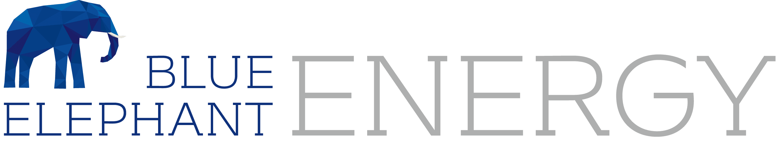 Blue Elephant Energy AG logo