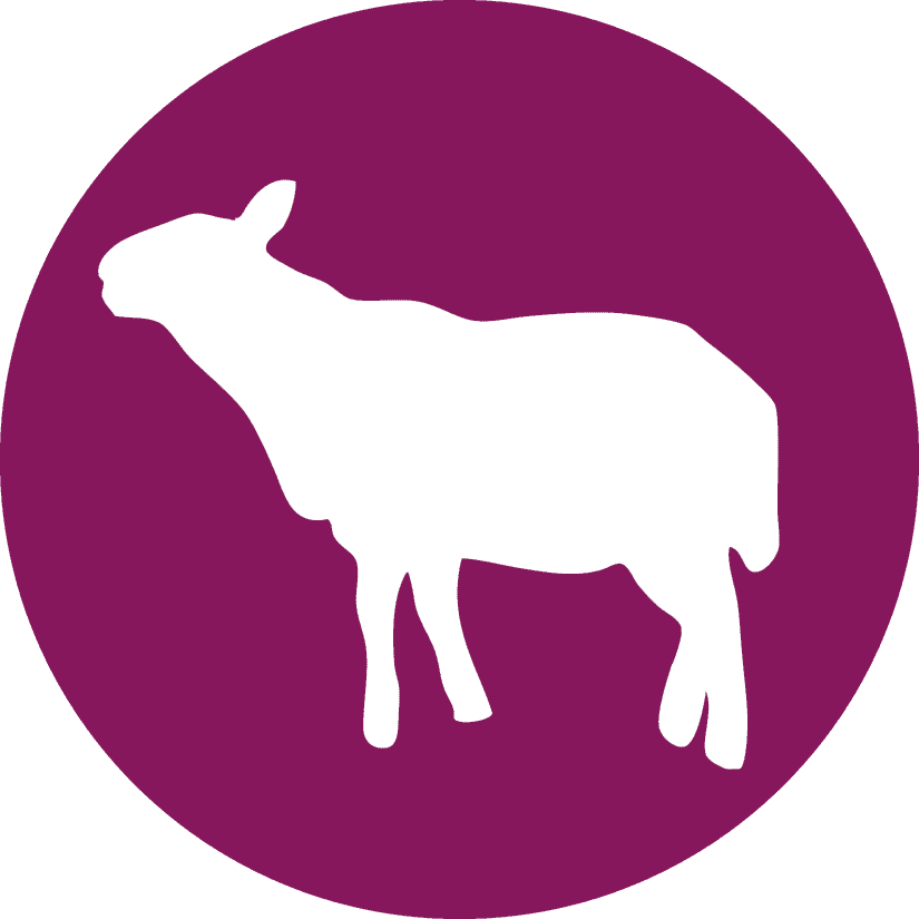 Räubersachen logo