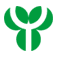 Adolphi-Stiftung Senioreneinrichtungen gGmbH logo