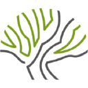 Platane 19 gGmbH logo