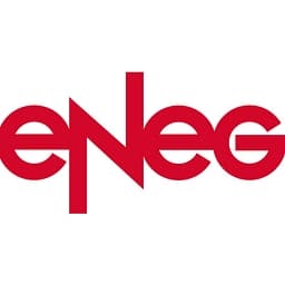 eNeG Gesellschaft für wirtschaftlichen Energieeinsatz mbH logo