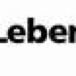 Lebenshilfe Steinburg gGmbH logo