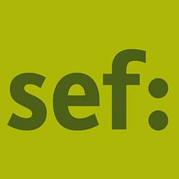 Stiftung Entwicklung und Frieden (sef:) logo