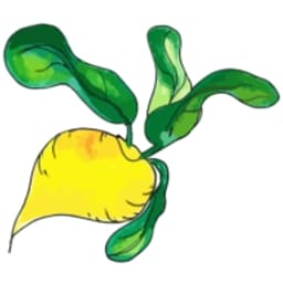 Betriebsverein Waldorfkindergarten Bovenden e. V. logo