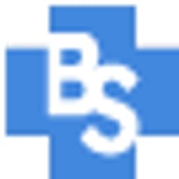 B+S Soziale Dienste Nds. GmbH & Co. KG logo