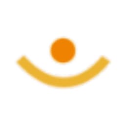 VISIONEERS logo