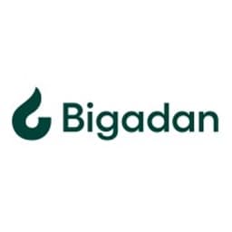 Bigadan Deutschland GmbH logo