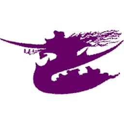 Verein für Fraueninteressen e.V. logo