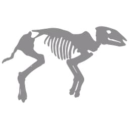 Grube Messel logo