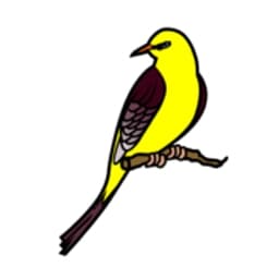 NATURGUTACHTER - Landschaftsökologie / Faunistik / Vegetation logo