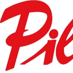 Pillipp Haustechnik GmbH logo