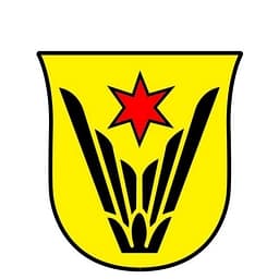 Stadt Schwalbach am Taunus logo