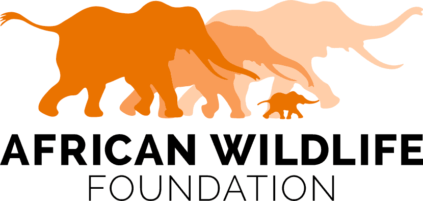 African Wildlife Foundation