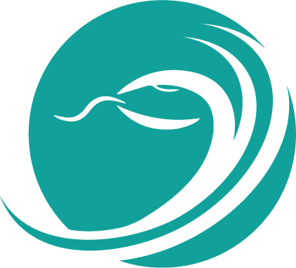 Psychotherapie und Gesellschaft