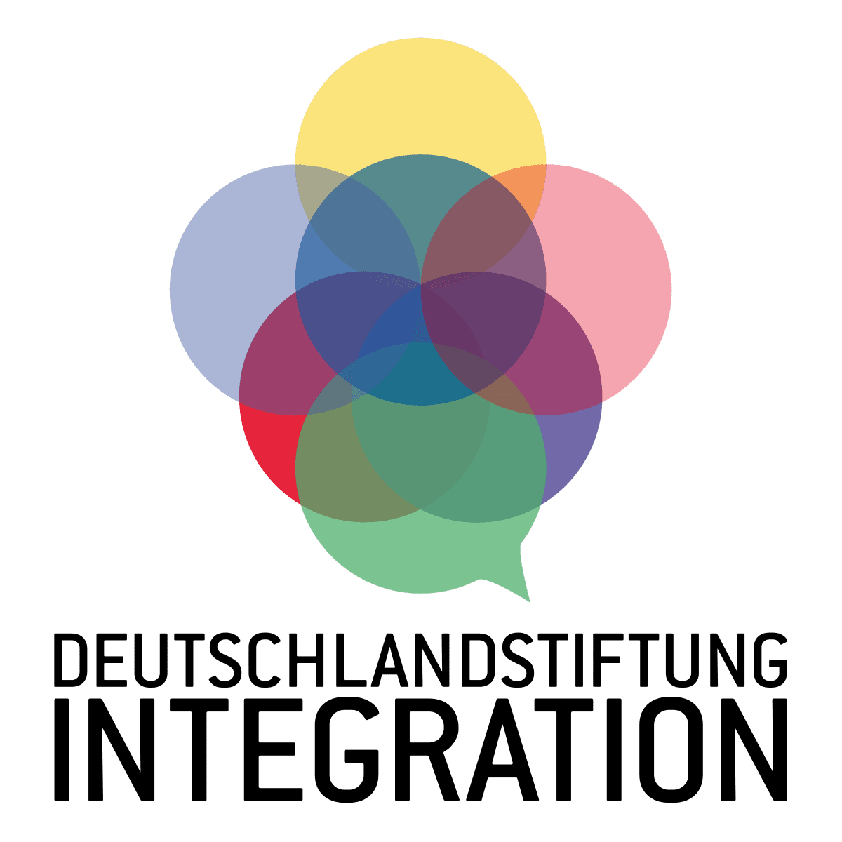 Deutschlandstiftung Integration logo