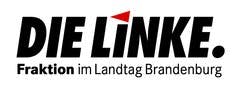 DIE LINKE. Fraktion im Landtag Brandenburg logo