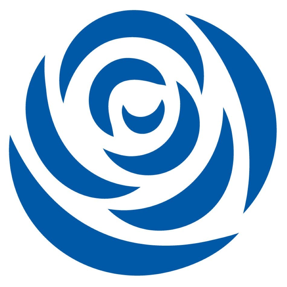 Röchling Stiftung logo