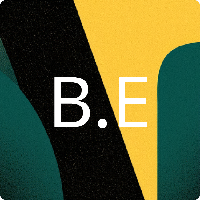 BHS e.V. placeholder