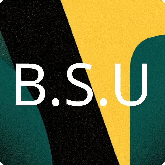 BSU Steuer Union Linkmann GmbH & Co. KG placeholder